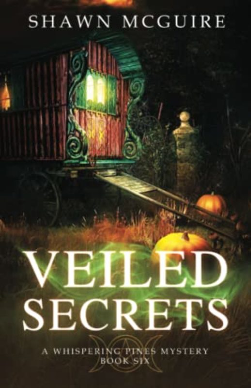 Book cover for "Veiled Secrets" by Shawn McGuire
