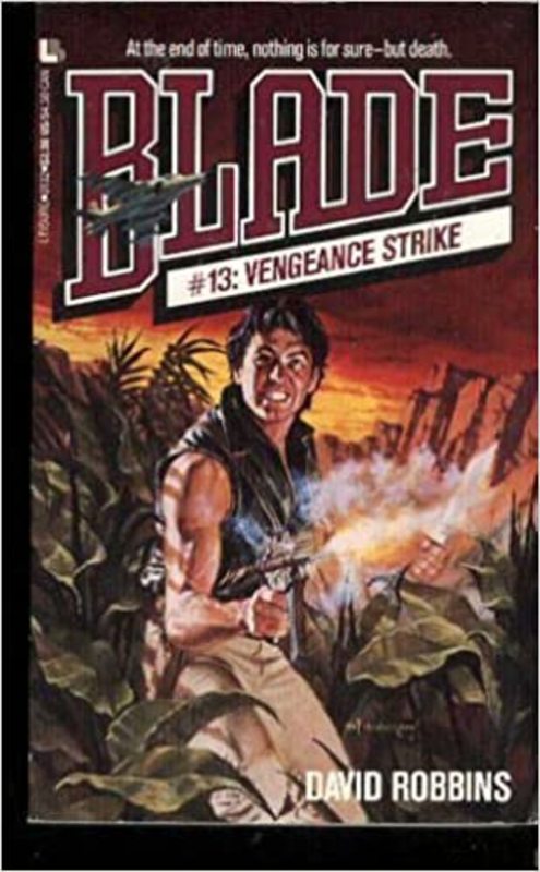 Book cover for "Vengeance Strike" by David Robbins