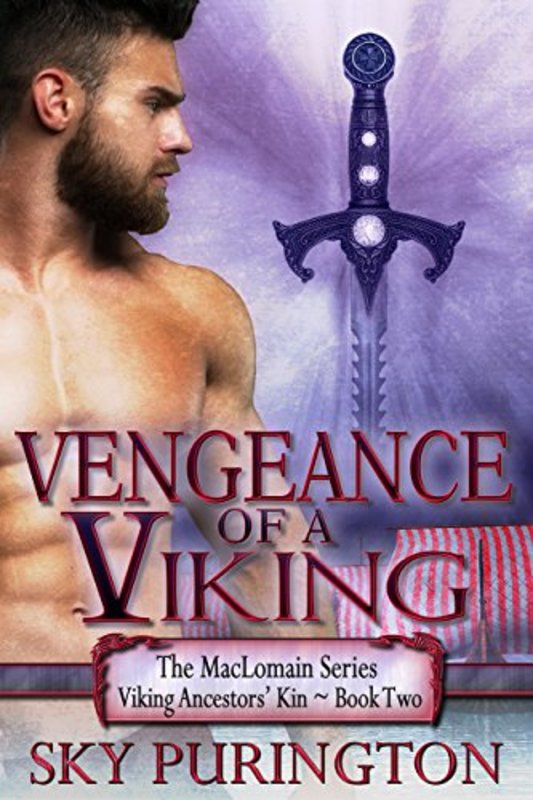 Book cover for "Vengeance of a Viking" by Sky Purington