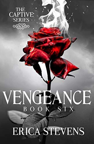 Book cover for "Vengeance" by Brenda K Davies