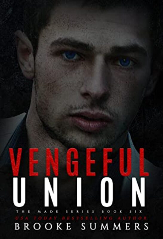 Book cover for "Vengeful Union" by Brooke Summers