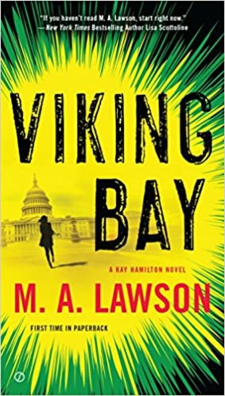 Book cover for "Viking Bay" by Mike Lawson