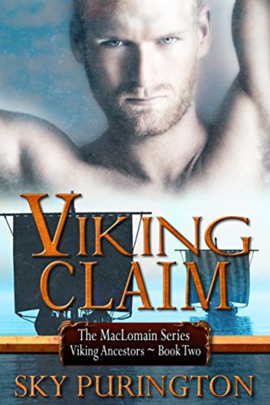 Book cover for "Viking Claim" by Sky Purington