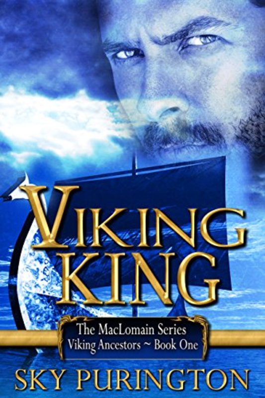 Book cover for "Viking King" by Sky Purington
