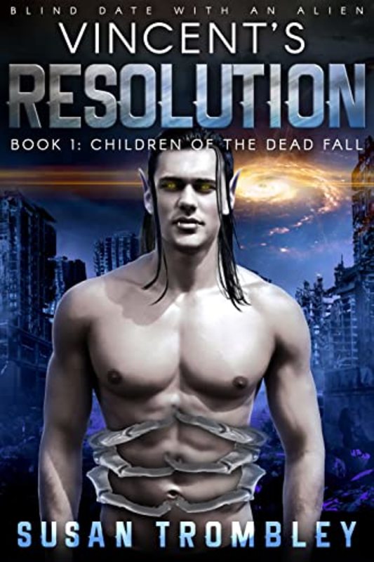 Book cover for "Vincent's Resolution" by Susan Trombley