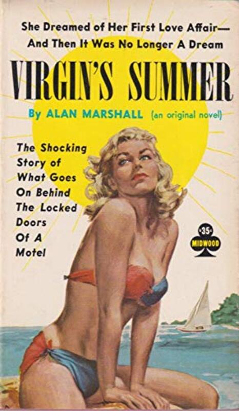 Book cover for "Virgin's Summer" by Donald E Westlake
