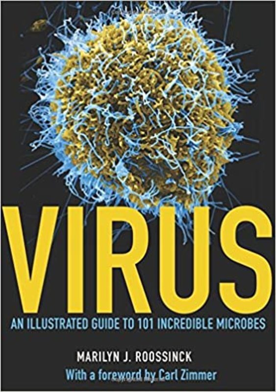 Book cover for "Virus" by Marilyn J. Roossinck