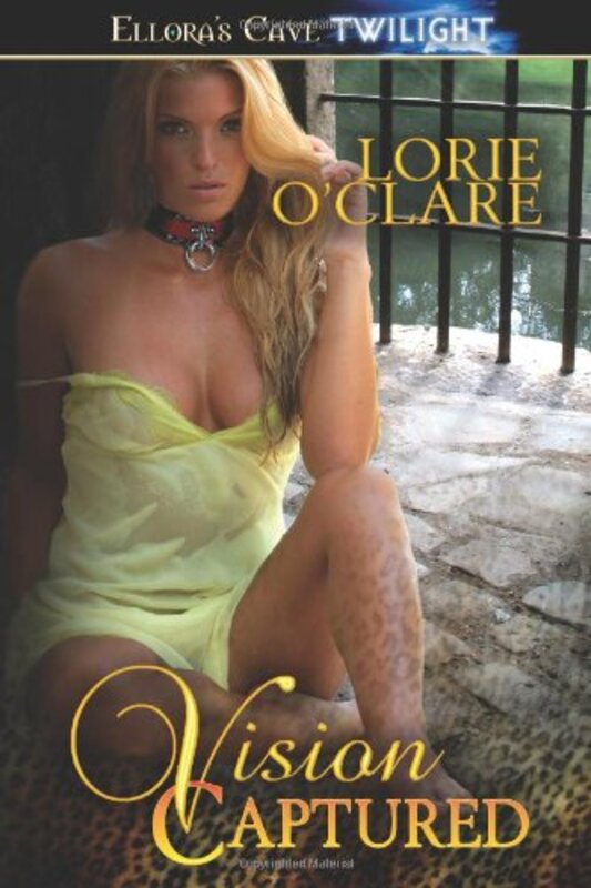 Book cover for "Vision Captured" by Lorie O'Clare