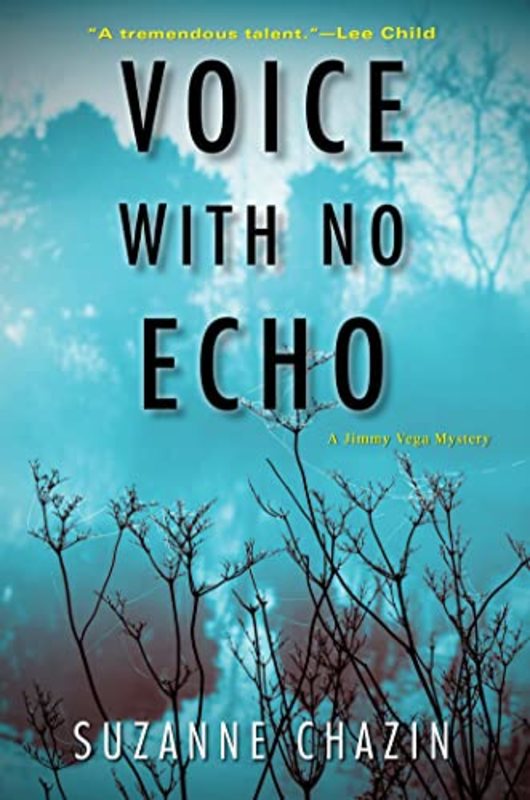 Suzanne Chazin book cover