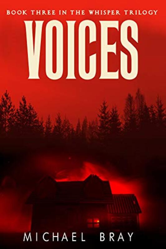 Book cover for "Voices" by Michael Bray