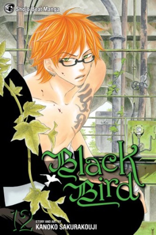Book cover for "Vol. 12" by Kanoko Sakurakoji