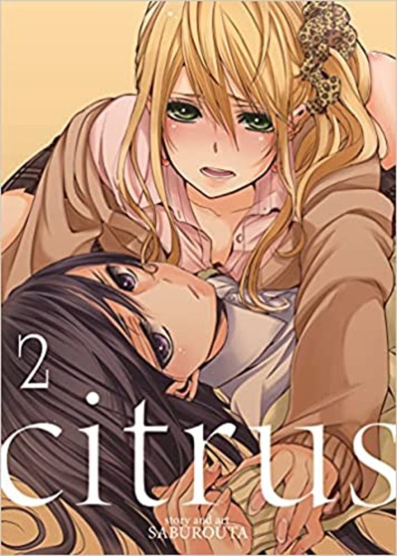 Book cover for "Vol. 2" by Saburouta