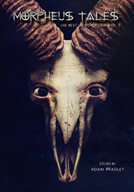 Adam Bradley book cover