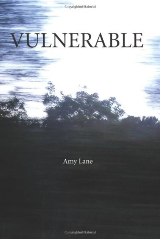 Book cover for "Vulnerable" by Amy Lane