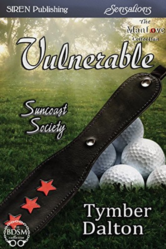 Book cover for "Vulnerable" by Tymber Dalton