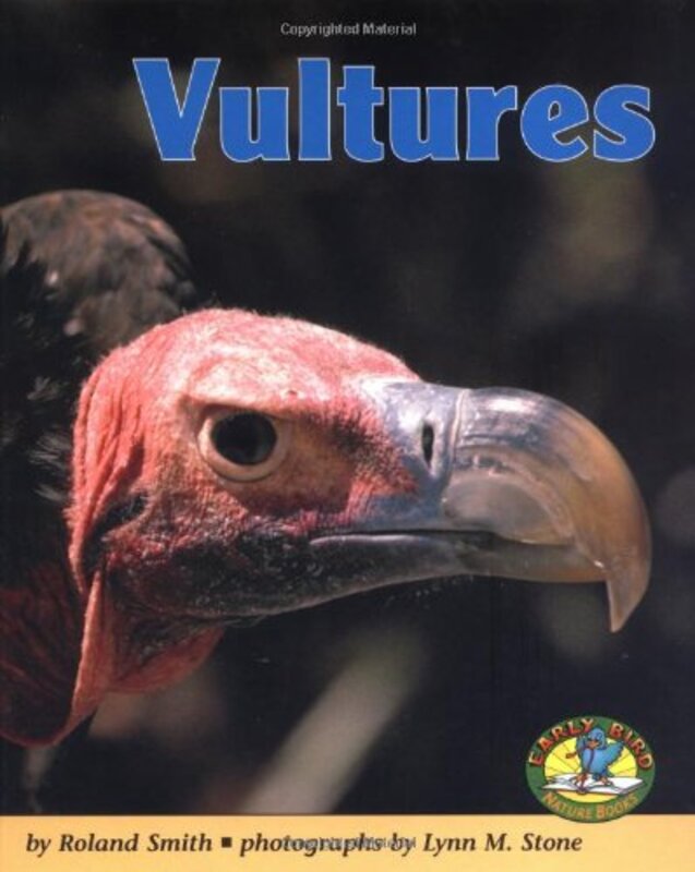 Book cover for "Vultures" by Roland Smith