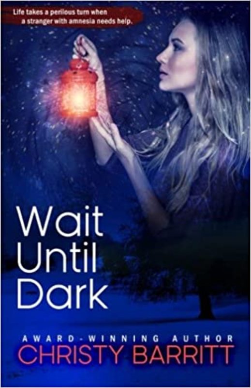 Book cover for "Wait Until Dark" by Christy Barritt
