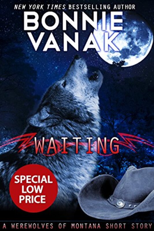 Book cover for "Waiting" by Bonnie Vanak
