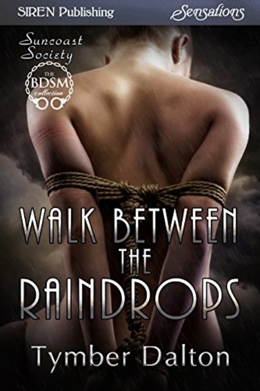 Book cover for "Walk Between the Raindrops" by Tymber Dalton