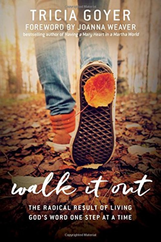 Book cover for "Walk It Out" by Tricia Goyer