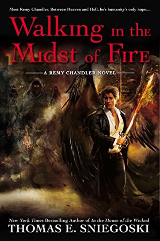 Remy Chandler book cover