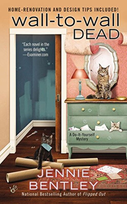 Do-It-Yourself Mysteries book cover