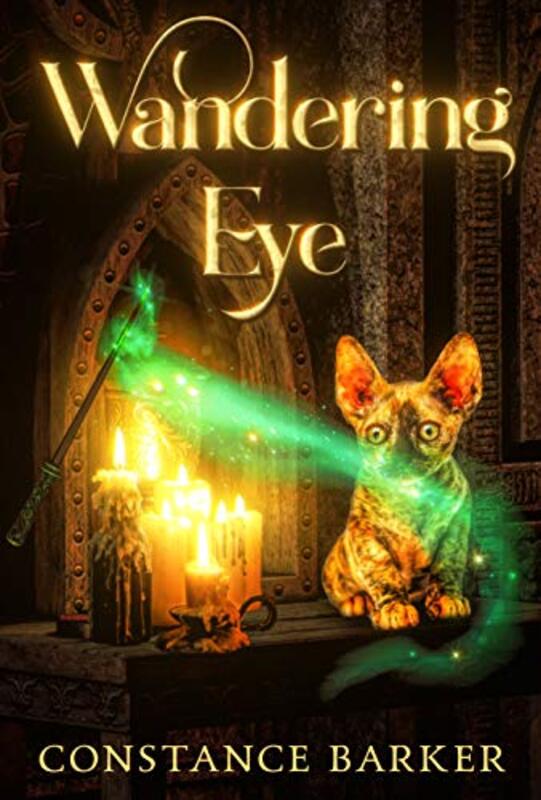 Book cover for "Wandering Eye" by Constance Barker