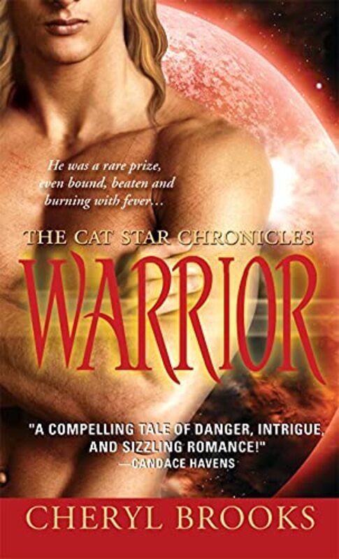 Book cover for "Warrior" by Cheryl Brooks