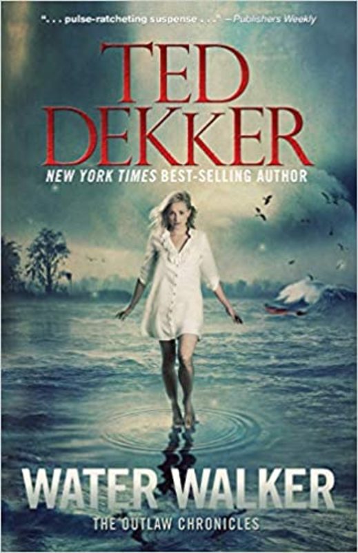 Book cover for "Water Walker" by Ted Dekker