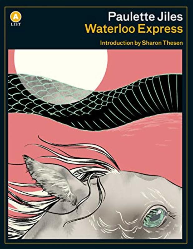 Book cover for "Waterloo Express" by Paulette Jiles