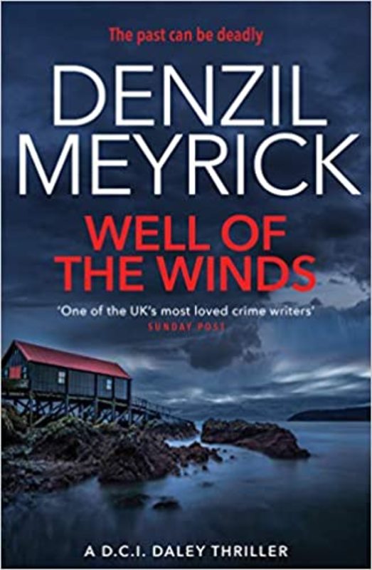 Book cover for "Well of the Winds" by Denzil Meyrick