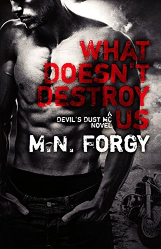 Book cover for "What Doesn't Destroy Us" by MN Forgy
