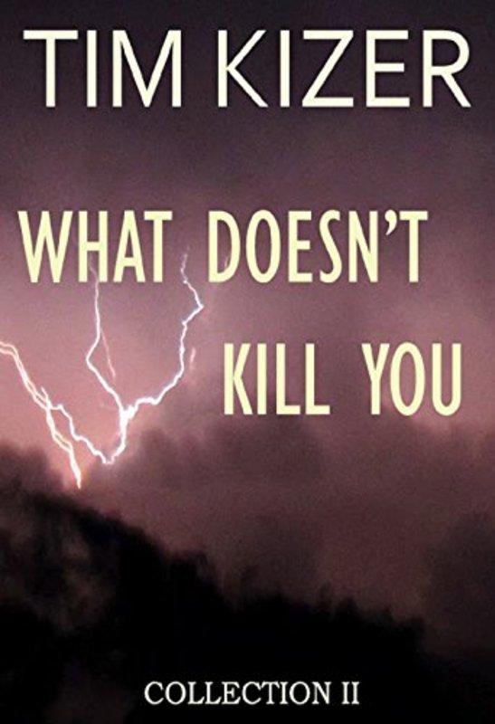 Book cover for "What Doesn't Kill You" by Tim Kizer