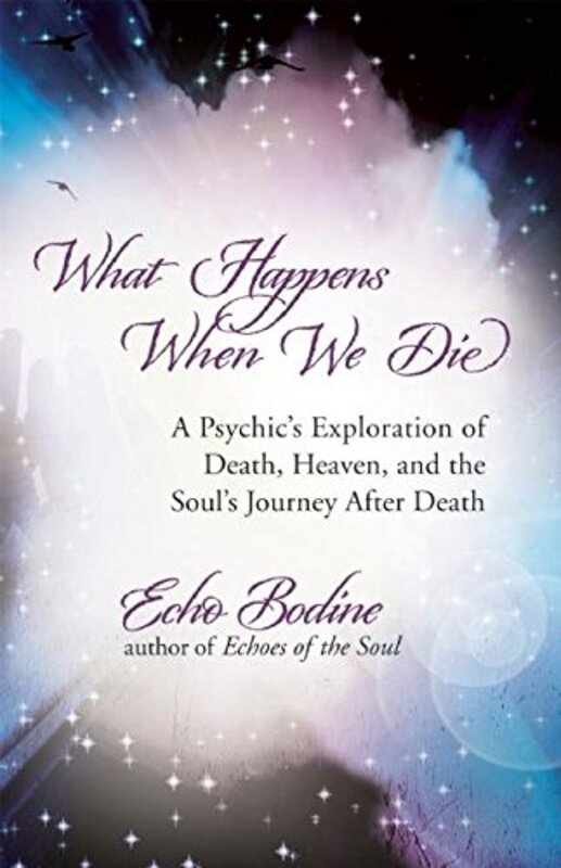 Echo Bodine book cover