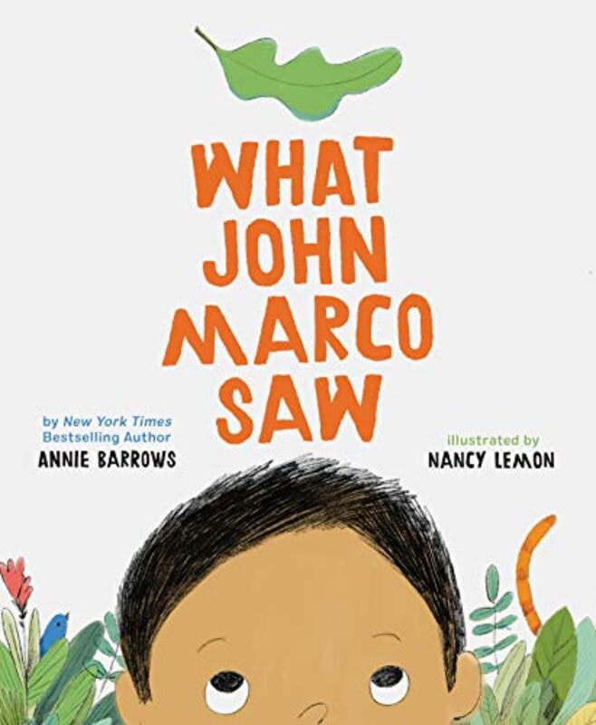 Book cover for "What John Marco Saw" by Annie Barrows