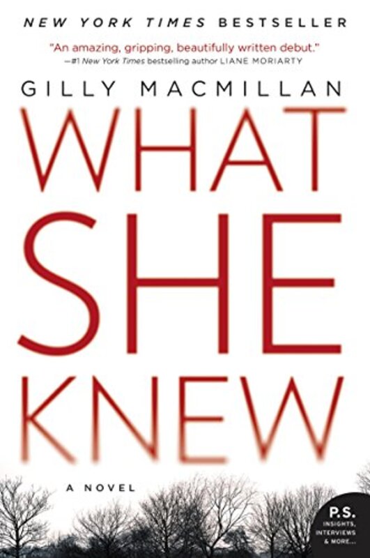 Book cover for "What She Knew / Burnt Paper Sky" by Gilly MacMillan