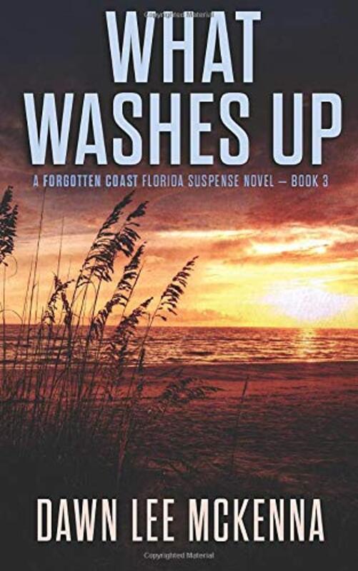 Book cover for "What Washes Up" by Dawn Lee McKenna
