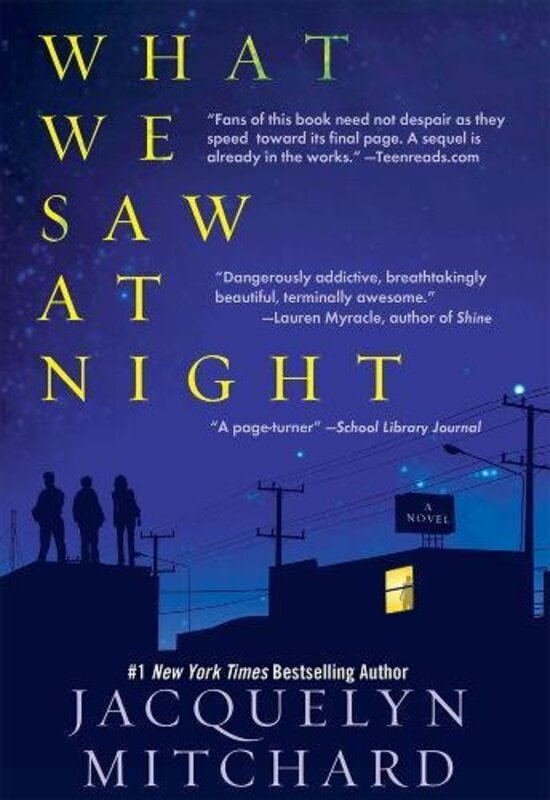Book cover for "What We Saw at Night" by Jacquelyn Mitchard