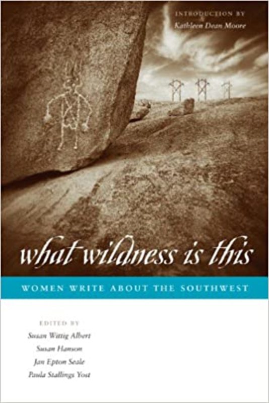 Book cover for "What Wildness Is This" by Susan Wittig Albert