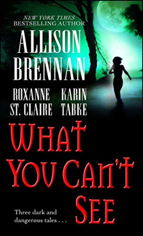 Book cover for "What You Can't See" by Allison Brennan