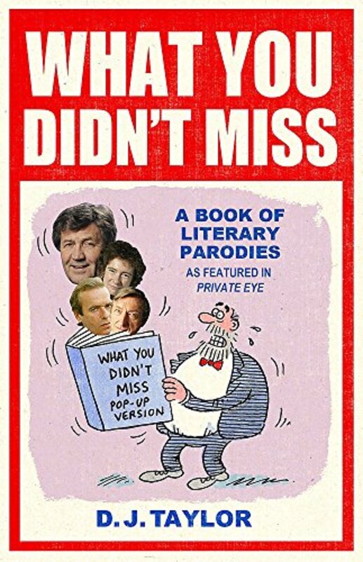 Book cover for "What You Didn't Miss" by DJ Taylor