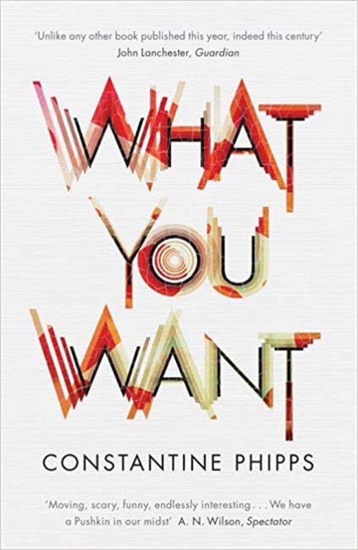 Book cover for "What You Want" by Constantine Phipps