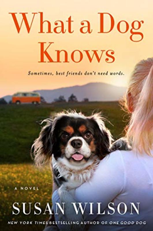 Susan Wilson book cover