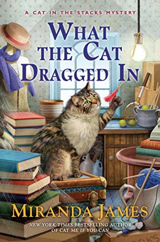 Cat In The Stacks book cover