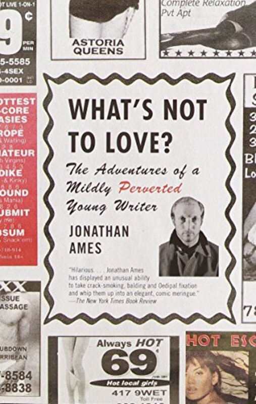 Book cover for "What's Not to Love?" by Jonathan Ames