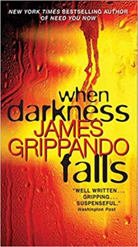 Book cover for "When Darkness Falls" by James Grippando