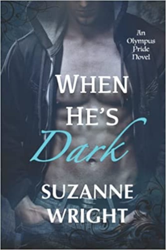 Book cover for "When He's Dark" by Suzanne Wright