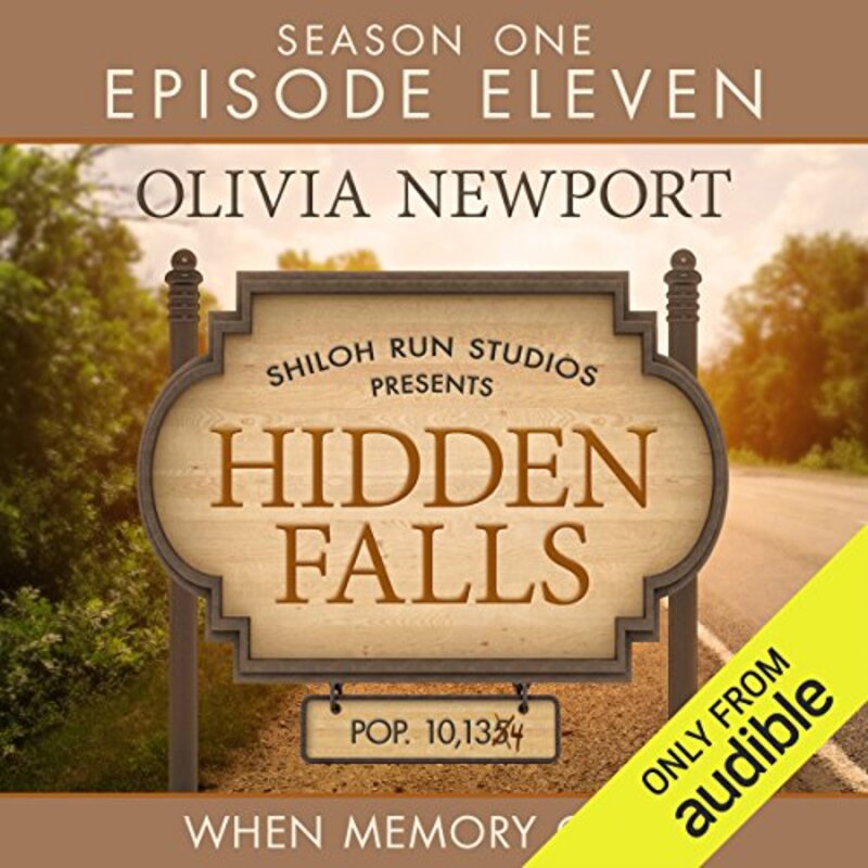 Book cover for "When Memory Came" by Olivia Newport
