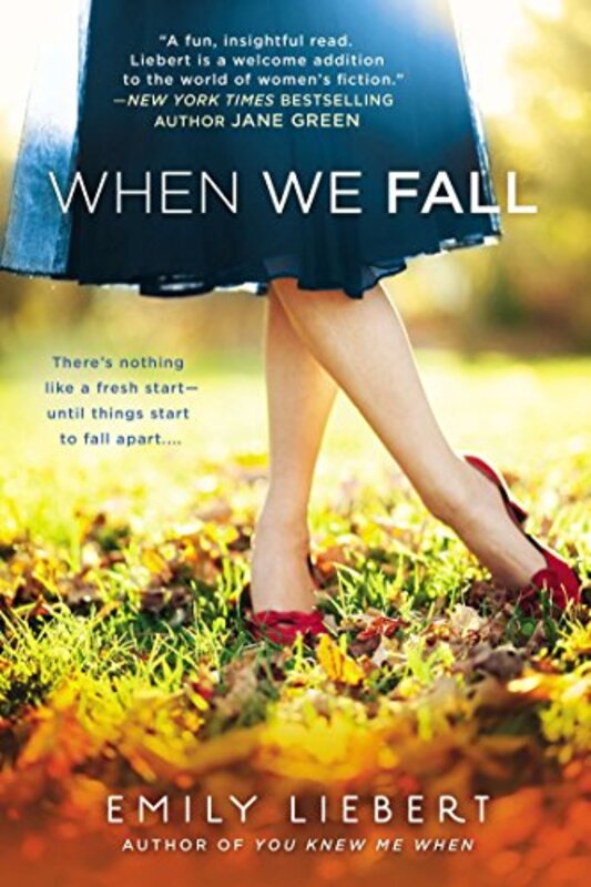 Book cover for "When We Fall" by Emily Liebert