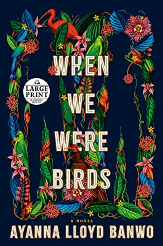 Ayanna Lloyd Banwo book cover